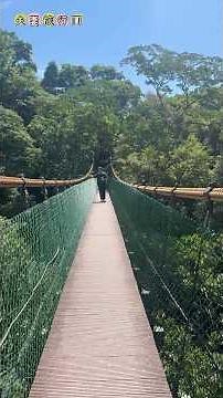 高遶溪古圳步道🚶‍♂️ Healing Nature Sounds ｜癒やしの台湾山歩き#Taoyuan #TaiwanTravel #ハイキング #古道