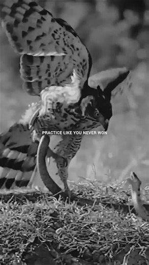 practice makes you perfect #practice #motivation #stayfocused #believeinyourself #shorts #fvp