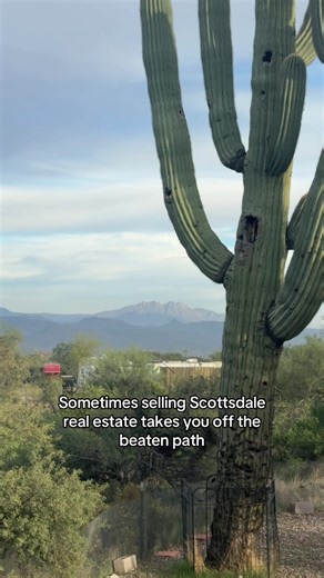 Did you know Scottsdale can feel like desert backroads? In North Scottsdale, you’ll find the rural, dirt road neighborhoods where your neighbors scoot around town in side by sides!