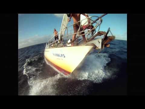 Chasing Bubbles - Official Trailer