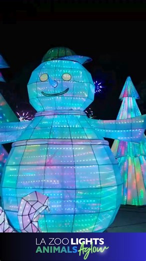 Tickets are on sale NOW for L.A. Zoo Lights: Animals Aglow presented by The Angela Collier Foundation! ✨This not-to-be-missed holiday adventure, which starts Nov 15, features spectacular new lantern sculptures of wildlife and botanical wonders that will enchant longtime fans and newbies alike. Tickets start at just $18, and Zoo members save up to 28%. Free parking any night. This year’s experience also features the return of Santa himself on select nights (for an additional fee)! 🎅 Enjoy VIP ex