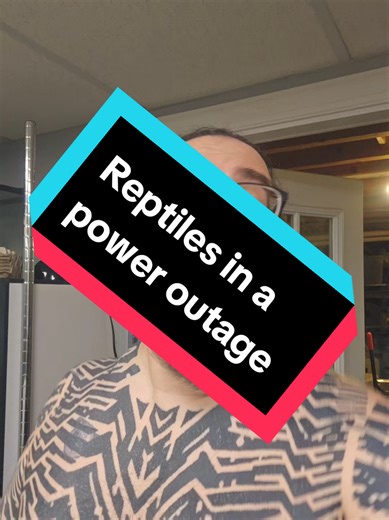 Replying to @diewunderkatze | gecko