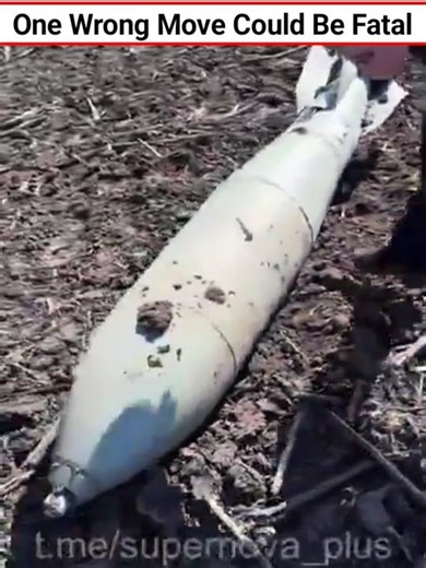 One Wrong Move Could Be Fatal #shorts