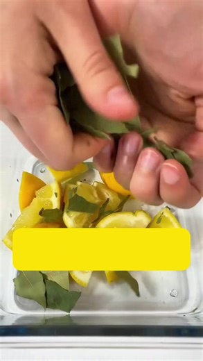 32K views · 262 reactions | La cura natural para el dolor de rodilla ¿Dolor en las rodillas? 例 Descubre este remedio casero para eliminar la inflamación y el dolor. Con limón, hojas de laurel y alcohol, tu rodilla se sentirá como nueva. ¡Prepara esta mezcla y dile adiós al dolor de rodilla! ✨ #DolorDeRodilla #RodillasSanas #Artritis #RemedioCasero #Inflamación #ClavoDeOlor #HojaDeLaurel #Salud #Bienestar #ParaTi | Vitalizate | Facebook