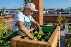 WATCH: How to make your own planter box for vegetables or flowers | The Citizen