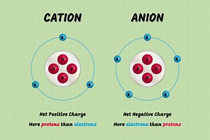 Types of Bonds