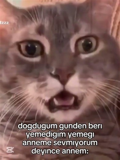 #keşfetküsmüyüz #memes #ytdayibenionecikarnolur #edit #keşfetaçılartık