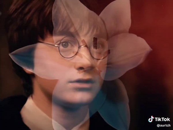 Severus Snape Tribute: A Journey Through His Story