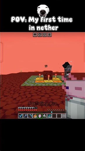 Minecraft Nether Be Like 💀🔥#shortsfeed #shorts