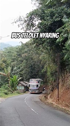 Bus Telolet Basuri Gokil #telolet #busmania