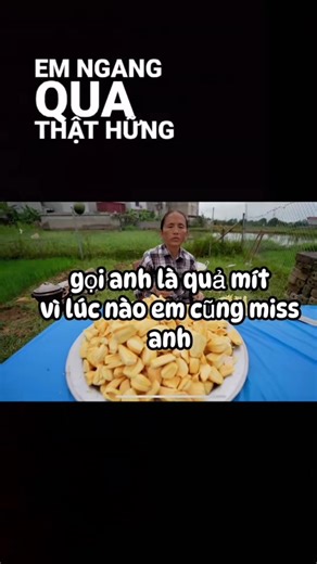 Video của giaphucmacro (@giaphucmacro) với bản nhạc nhạc nền - Vphuong@