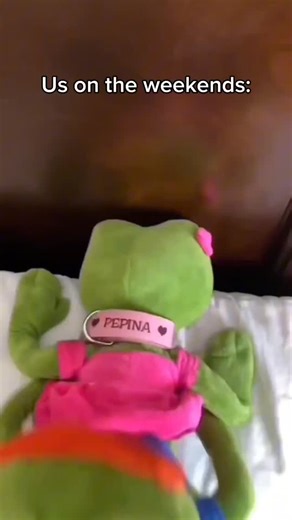 PePe Plush on Instagram: "Us on the weekends🥹❤️ Get Pepe & Pepina Bundle 60% OFF link in bio"