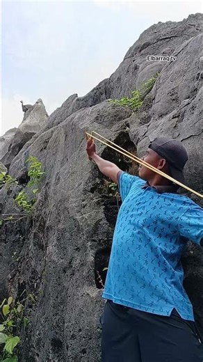 precise target shooting #shorts #viral #explore #nature #wildlife #amazing