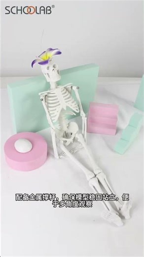 A Science Supplies & Lab Equipment Supplier from China