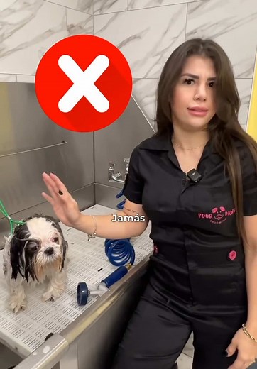 Consejos para Baños Cálidos en el Grooming Canino