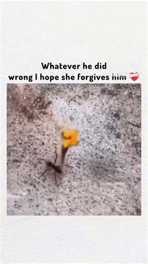 I’m sorry baby 💔