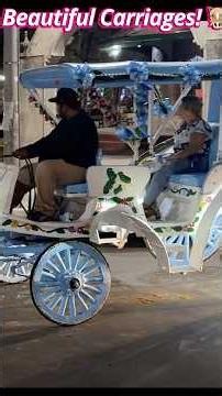 Colorful Horse Carriages | A Charming Colonial Experience in Granada, Nicaragua
