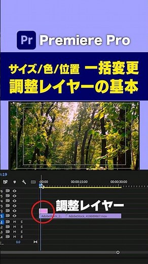 Change size, color, and position all at once! The basics of adjustment layers [Premiere Pro tutor...