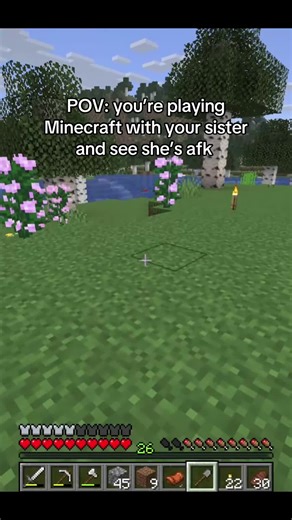 At least I gave her back her stone and gave her a saddle also sorry for being sort of MIA I got the flu (not the really bad strain) and recovery has been ridiculously slow #minecraft #sisters #minecraftprank #mcyt #minecraftsurvival