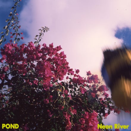 POND - Neon River (Official Video)