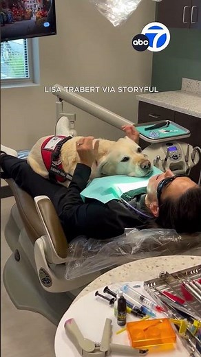 Dental therapy dog helps patients with anxiety