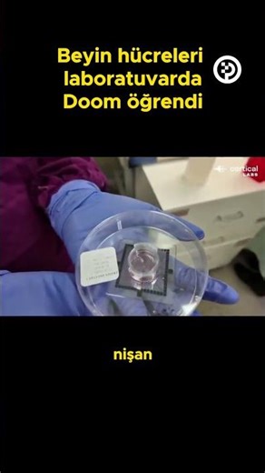 Biyolojik Çip İçin Kritik Adım: Beyin Hücreleri Doom Oynadı - Piksel Haber