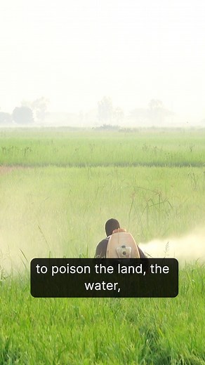 6.5K views · 69 reactions | The Hidden Cost of Knowledge: Education's Paradox | Sustainable Human | Facebook