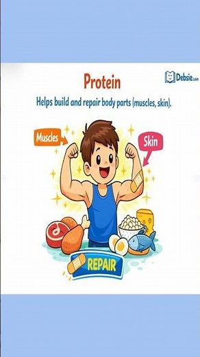 Introduction to Nutrients for Kids | Proteins, Vitamins, Carbs, Fats & Minerals Explained |