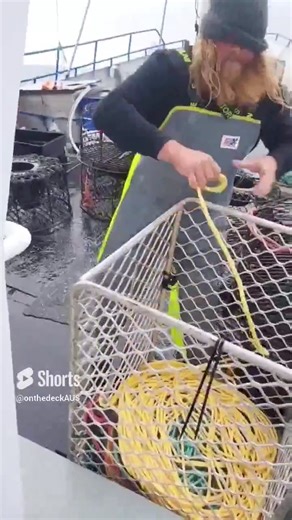 28K views · 359 reactions | Shooting away for crayfish in Tasmania | On The Deck - Footage from Australia's Commercial Fisherman | Facebook