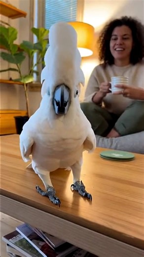 Happy Ending on Reels