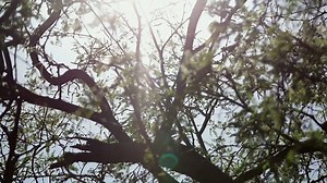 Ranchers on the border live and work where two countries intersect. They’ve had a firsthand look at how things have changed, often for the worse and with increasing violence. https://usat.ly/2xdxS5m | The Wall