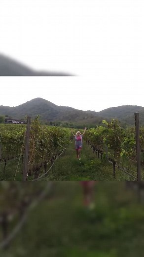 DJ Soda's Electrifying Live Show