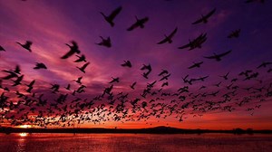 瞑想のマントラ10種類｜誰でもできるマントラ瞑想の簡単なやり方