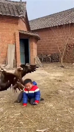 present wild on Instagram: "日本利用压电瓷砖将脚步转化为电能。这些瓷砖捕捉来自你脚步的动能。当你行走时,你的重量和动作会对瓷砖产生压力。瓷砖会轻微弯曲,从而产生机械应力。瓷砖内部的压电材料将这种应力转化为电能。每一步都会产生少量电荷,而数百万步结合在一起就能产生足够的电力来驱动 LED灯、数字显示屏和传感器。在像涩谷车站这样繁忙的地方,每天大约有240万个脚步为这一系统作出贡献。这些电能可以被储存或立即使用,从而减少对传统电力来源的依赖,并支持可持续的城市基础设施。这种方法将日常运动转化为实用的可再生能源 #日本 #知识 #事实 #你知道吗 #推荐#科技 #创新 #历史 #技术 #实验 #热门"