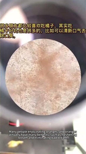 #microscope #magnification