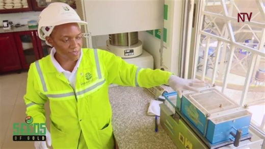 Grainpulse strengthening Uganda’s animal feed industry | SEEDS OF GOLD | Mutuma Mutwiri [Antony]