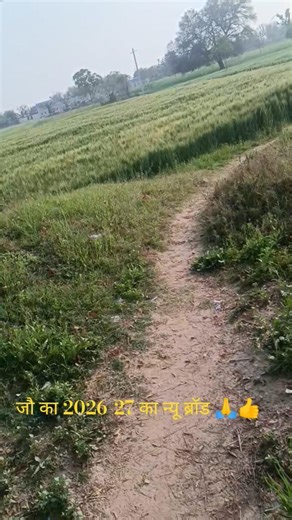 Veera mahra Ramdev # jo ki kehti #kishan#indian farmers #love farmers #village farmers