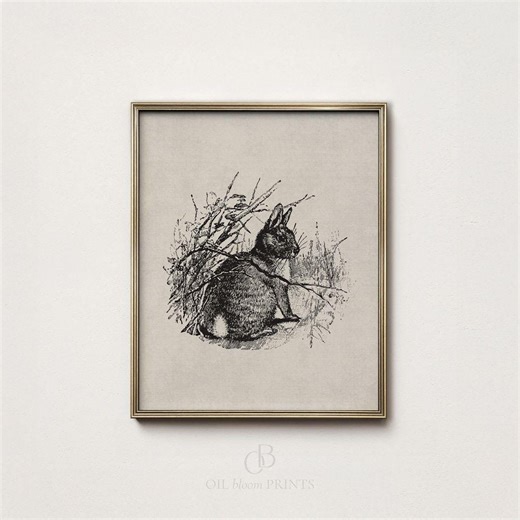 Vintage Rabbit Illustration: Bunny Wall Art, Farmhouse Animal Print (digital Download) - Etsy