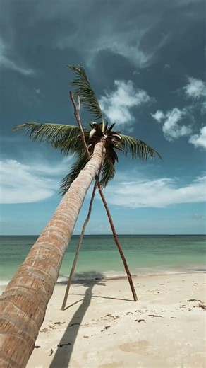 You can easily plan your Miami Trip with buffGo! #miami