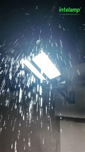 How Bright Is This Outdoor Solar Light? #intelamp #solarlight #light