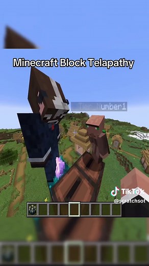Minecraft Block Telepathy Challenge Explained