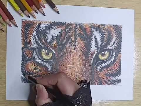 How to draw Tiger eyes easy for beginners / full tutorial /easy coloring & drawing #inkspirecreation