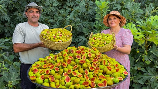 1.9M views · 41K reactions | harvesting figs near the farm is a delightful activity! We recently tried a recipe for the most delicious fig jam ever, and it turned out fantastic. It's simple to make and tastes absolutely heavenly!  #jam #fig #farm | Faraway Village Family | Facebook