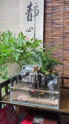 I Built a Peaceful Micro Aquarium on My Desk and It's Mesmerizing #Shorts