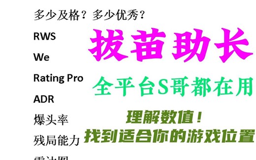CSGO教学（拔苗助长）RWS ? WE ? Rating Pro？究竟哪个最重要？