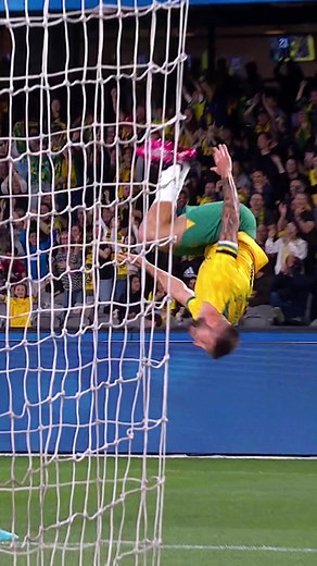 Brandon Borrello backflips. 🔥 What else ya gonna do after scoring your first goal for Australia? #socceroos #football #backflip #goals