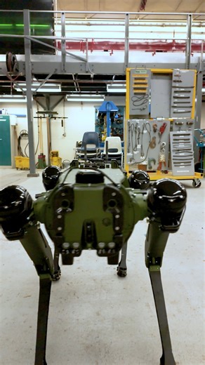 Sask Polytech recently purchased a state-of-the-art robotic dog, also known as a quadruped, that can roll over, fetch (with the help of a robotic arm) and navigate hazardous terrain. Learn more! https://saskpolytech.ca/news/posts/2025/robotic-dog-ready-to-assist-with-applied-research.aspx | Saskatchewan Polytechnic