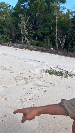 Camping in Croc Country 🐊 😳 | Back 2 Basics Adventures