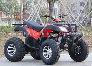 [Hot Item] 150cc Automatic Racing Sports Exclusive Design ATV