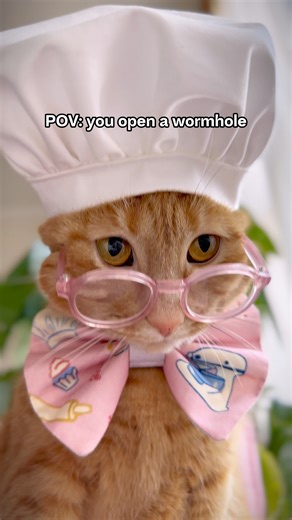 9.8K views · 666 reactions | Limited Edition Princess Honeybelle Plush is BACK from the past, for 21 days only! Don’t miss out!  #makeship #plushies #cutecat | Princess Honeybelle | Facebook